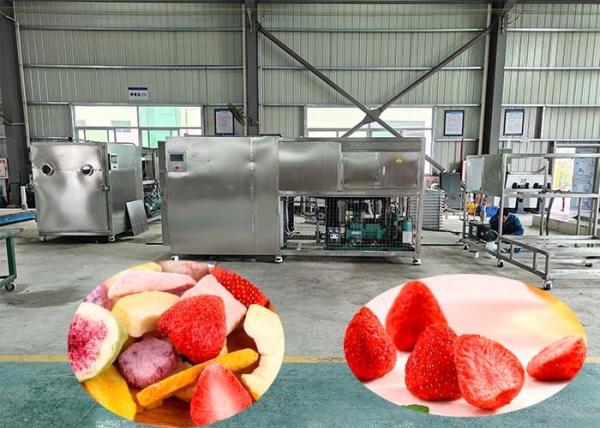 Buy cheap 100kg Per Batch Industrial Freeze Drying Machine With 60dB from wholesalers