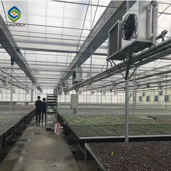 Buy cheap Elliptical Pepper 8.0m Plastic Polyethylene Film Greenhouse from wholesalers