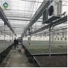 Buy cheap Elliptical Pepper 8.0m Plastic Polyethylene Film Greenhouse from wholesalers