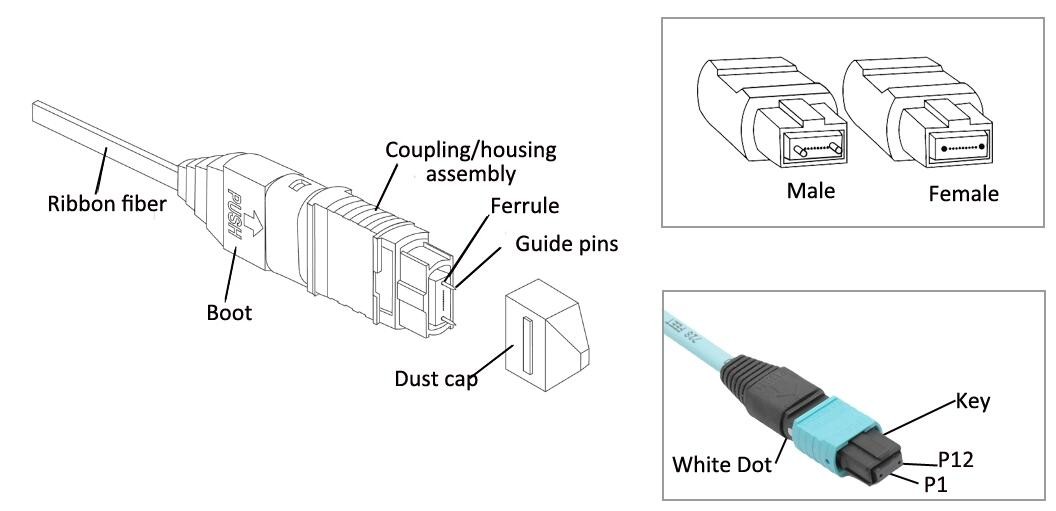 12F 24F OM3 OM4 Plenum MTP MPO Fiber Trunk Cable