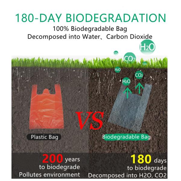 5LB Biodegradable Shopping Bag Customized Packaging Shopping Bag Compostable