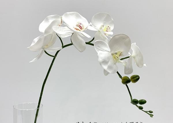 Buy cheap Long Lasting Colorful Artificial Flower Branch Phalaenopsis Aphrodite 83 Cm from wholesalers