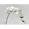 Buy cheap Long Lasting Colorful Artificial Flower Branch Phalaenopsis Aphrodite 83 Cm from wholesalers