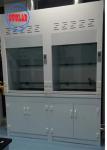 Wall Mounted Chemical Fume Hood Lab Perchloric Acid Fume Hoods with 400m3/h