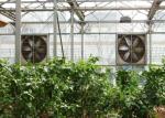 1400RPM Greenhouse Cooling System 220V / 380V Galvanized Sheet Contour Frame