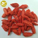 Certificated Organic Dried Goji Berries Dried Super Grade Organic Goji Wolfberry