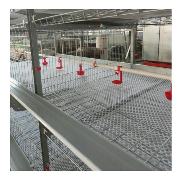 Buy cheap 3tire 2150x2300x1600mm Poultry Farming Equipment For Laying Hens Chicken Cage from wholesalers