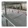 Buy cheap Automatic Chicken Cages Egg Layer Battery Cage Farming Equipment Egg Collection Disinfection System from wholesalers