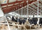 Industrial Prefab Steel Structure Building , Metal Farm Shed Building