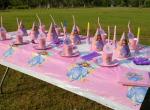 Princess Sofia the first theme Kids Birthday Party Decoration Set Party Supplies