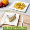 Buy cheap Rectangular Disposable Serving Plates 100% Natural Sugarcane Bagasse Fiber Platter Biodegradable & Compostable Party from wholesalers