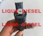 BOSCH Common Rail Injector 0445110307 0 445 110 307 0445110 307 6271-11-3100