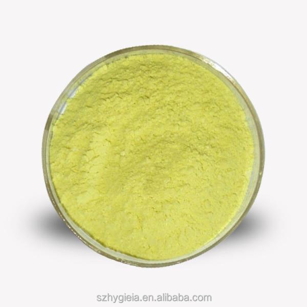 Buy cheap Natural Sophora Japonica Extract 99% Quercetin Dihydrate Powder For Healthcare CAS 6151-25-3 from wholesalers