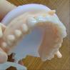 Buy cheap Natural Esthetics Layered Zirconia Crown Bridge For Beautiful Smile And Good Restoration FDA And CE Certification from wholesalers
