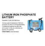 Customized Lithium Iron Phosphate Battery 12V 50Ah Batteries