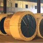 Heat Resistant Conveyor Belt for all industries Package Type Transparent bags