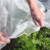 Buy cheap 70gsm Sunshine Spunbond Agricultural Ground Cover Garden Non Woven Fabric from wholesalers