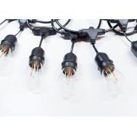 Buy cheap RGB Filaments S14 String LED Garden Festoon Lights product