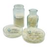 Buy cheap Linear Polysaccharide Chitosan Powder Molecular Weight Structure 9012-76-4 from wholesalers