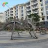 Buy cheap ISO Zigong Real Size Dinosaur Skeleton Replica For Museum Exhibition from wholesalers
