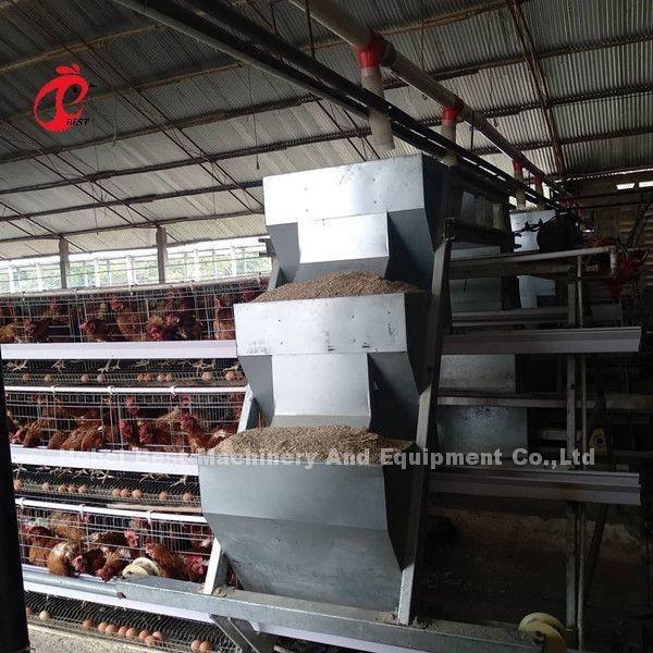 Egg Laying Chicken 96 Birds Broiler Battery Cage System Durable Corrosion