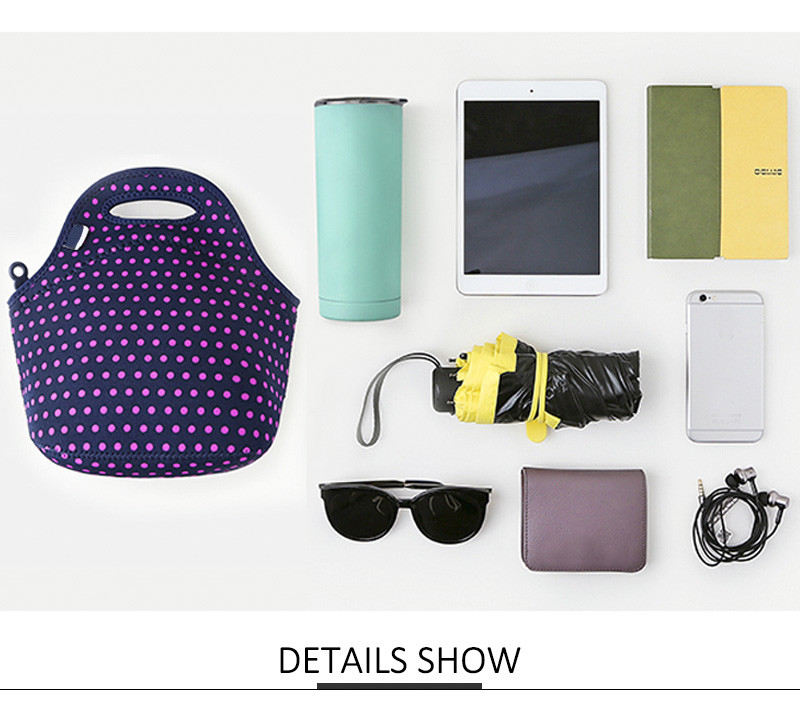 Women Reusable Waterproof Insulated Lunch Carry Bag