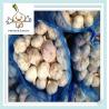 Buy cheap Wholesale garlic White Common Fresh Garlic Shandong natural fresh garlic from wholesalers