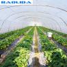 Buy cheap UV Resistance Hot Dipped Steel Frame Single Span 10m Tunnel Plastic Greenhouse from wholesalers