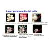 Buy cheap Mitsubishi non invasive diode lipo laser slimming strawberry i lipo laser machine for sale from wholesalers