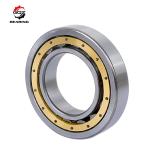 NU332-E-M1 160x340x68 mm Cylindrical Roller Bearing NU332 Single row