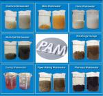 Cationic Anionic Polyacrylamide Municipal Sewage Sludge Dewatering Treatment