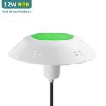 AC12V ABS 250LM RGB Led Swimming Pool Lights 12W VDE Remote Control