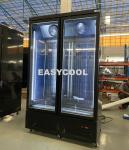 Commercial Double Door Freezer Glass Door Upright Ice Cream Freezer Showcase