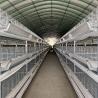 Buy cheap H Type Automatic Poultry Battery Cages Egg Layer Chicken Farm Laying Hens 5 Tiers from wholesalers