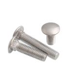 SS304 Stainless Steel M3 M4 M5 M6 M8 M10 Carriage Bolts with ISO9001 2015