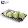 Buy cheap Wholesale takeaway food packing 9 inch jepenese sushi box from wholesalers