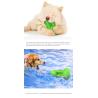 Buy cheap Cactus Dog Teeth Cleaning Chew Toy Squeaky Rubber Relieve Anxiety TPR OEM from wholesalers