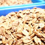 220V Pecan Shelling Machine Capable 100000 Nuts With CE Certifications