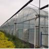 Buy cheap Agricultural Vegetable Green House Multi-span Tomato Greenhouse For Fruits Flower from wholesalers