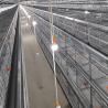 Buy cheap 108-144Birds Poultry Cage 3-4Layers Broiler Raising Equipment from wholesalers