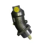 A2FM Series Axial Piston Hydraulic Motor for A2FM80 A2FM90 A2FM107 A2FM125