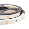 Buy cheap 2216 SMD LED Strips CRI 95 No Dots For Office Buildings Museums from wholesalers