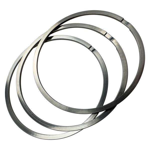 BF800C Dust Proof Flange Plate Ring 320052502 Stainless Steel Retaining Ring For