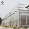 Buy cheap Hot Dipped Galvanized Steel 7.5m Polycarbonate Greenhouse from wholesalers
