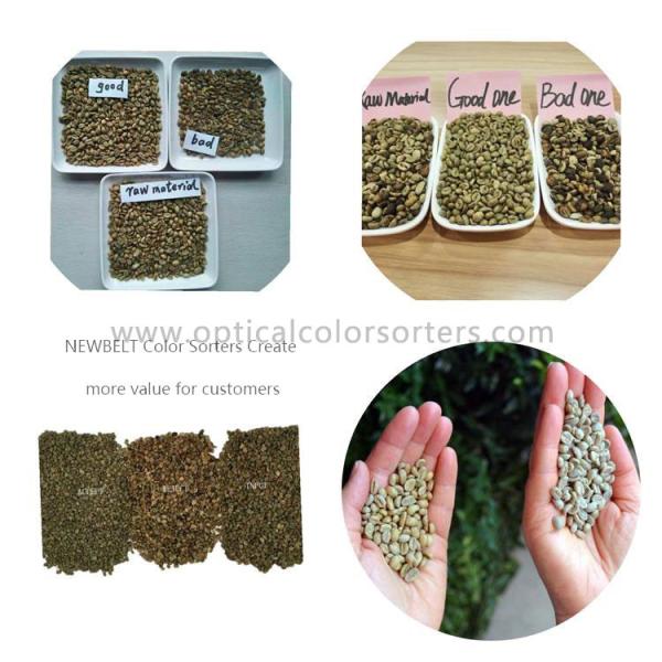 Buy cheap 300kg/Hour 120L/Min Roasted Coffee Bean Color Sorter from wholesalers