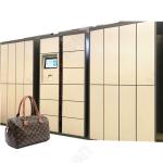 Smart School Gym Airport Beach Concert Luggage Bag Storage Rental Locker With