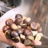 Buy cheap Stainless Steel Chestnut Sorting Machine 1500kg/H Capacity For Industrial Use from wholesalers