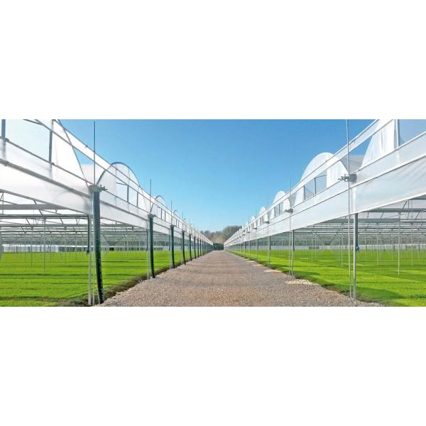 South Korea Agricultural Greenhouse with Ebb Flow Rolling Bench and Inside Shading System