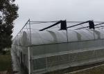 Plastic Film Covered Single Tunnel Greenhouse For Seed Breeding / Beans
