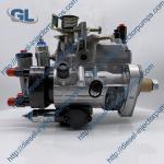 Orginal Brand 4 Cylinders DP200 Diesel Fuel Injection Pump 8920A710W 8920A714W